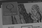 website junta de freguesia de valongo